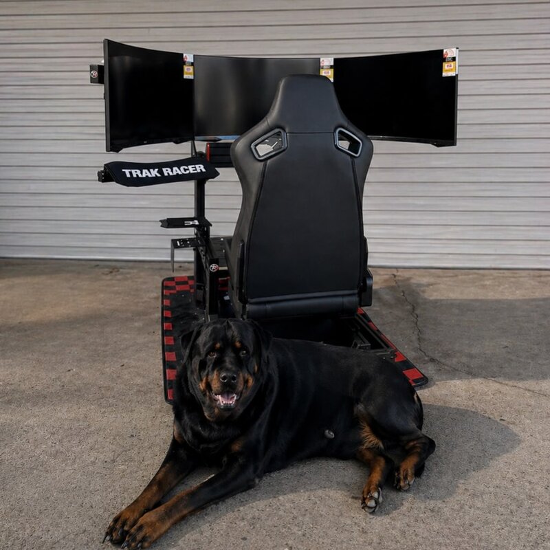 Rottweiler lying next to a Trak Racer simulator